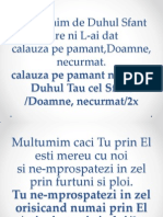 Multumim de Duhul Sfant