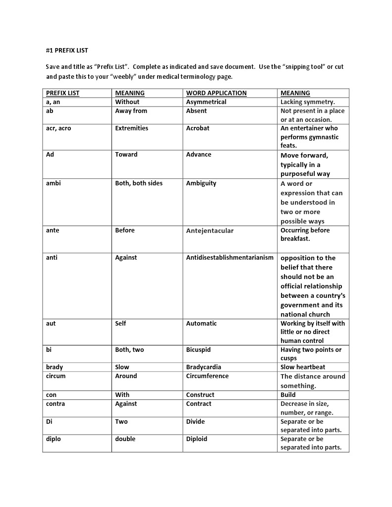Medical Prefix List Guide | PDF