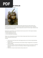 Download Manfaat Buah Siwalan by Dwiky Syamcahyadi Rahman SN119724342 doc pdf