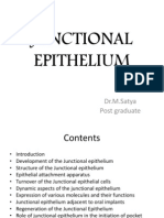 Junctional Epithelium