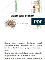 Saraf Otonom Koordinasi Dan Keseimbangan