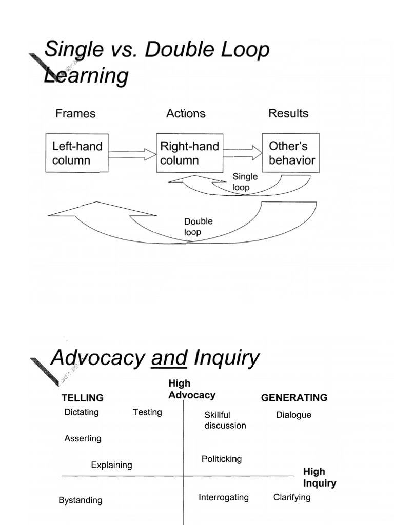 Single and Double Loop Learning | PDF | Conversation | Leadership