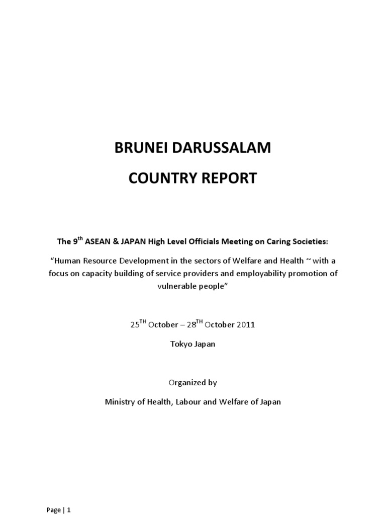 Brunei Darussalam Country Profile 2011 | PDF | Physical Therapy ...
