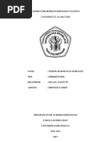 Download Tanaman C3 C4 Dan CAM by Ichsan Abudoru H SN119753738 doc pdf