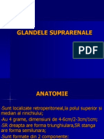 GLANDELE SUPRARENALE