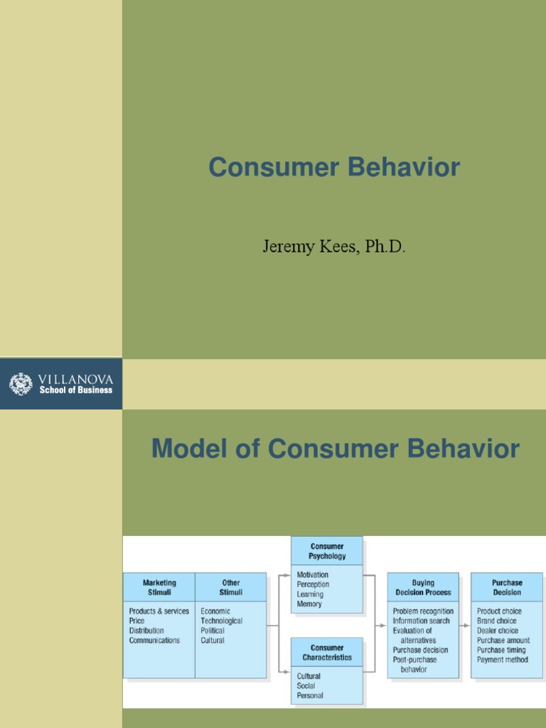 Consumer Behavior Notes | PDF | Career & Growth