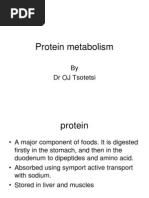 Protein Metabolism