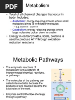 Metabolism