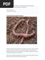 Produção de Húmus de Minhoca com Resíduos Orgânicos Domiciliares