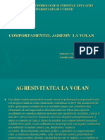 Agresivitatea La Volan