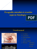 Uterus Echography Plus Ovaries