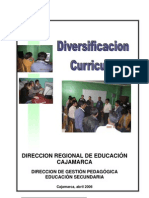 Diversificacion Curricular 2006
