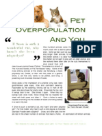 Pet Overpopulation and You