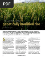 Download RT Vol 12 No 1 The state of play genetically modified rice by Rice Today SN119860470 doc pdf