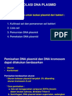 Islasi Dna Plasmid