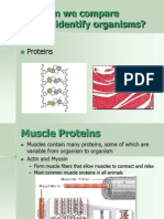 How Can We Compare And/or Identify Organisms?: DNA Proteins