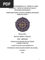 Download CRITICAL LIMB ISCHEMIA by Rere Mamipucino SN119882775 doc pdf