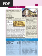 Download Timisoara by froggy_2012 SN119902974 doc pdf