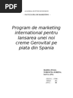 Proiect Marketing International