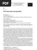Download Low back pain non-specific by PilatesCientfico SN119910032 doc pdf