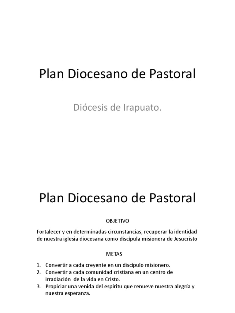 Plan Diocesano de Pastoral | PDF