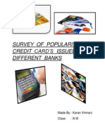 Business Studies Project On Credit Cards