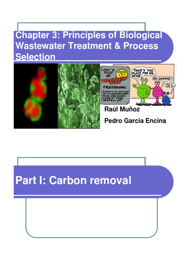 Chapter 3Principles of Biological Wastewater Treatment _ Process