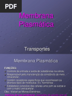 Membrana Plasmática