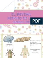 Sistema Nerviosos de Los Animales .