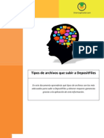 Tipos de Archivos Que Subir A DepositFiles