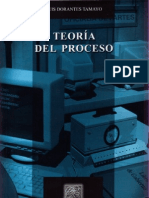 Teoria_del_proceso
