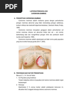 Download Asuhan Keperawatan Pada Pasien CARSINOMA MAMMAE by Lowita Fi Sakina SN120034824 doc pdf