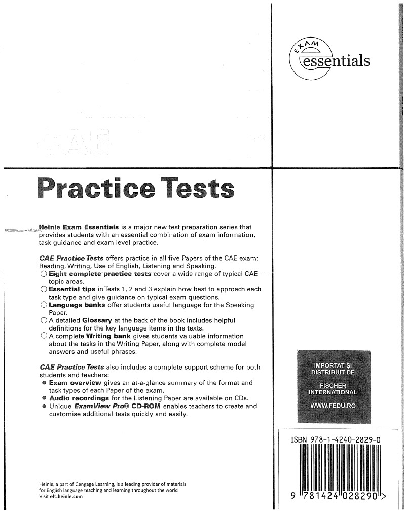 CAE | PDF