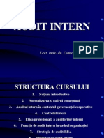 Audit Intern