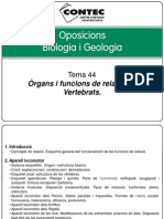 Tema 44 - Relació en vertebrats