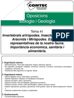 Tema 41 - Invertebrats Artròpodes