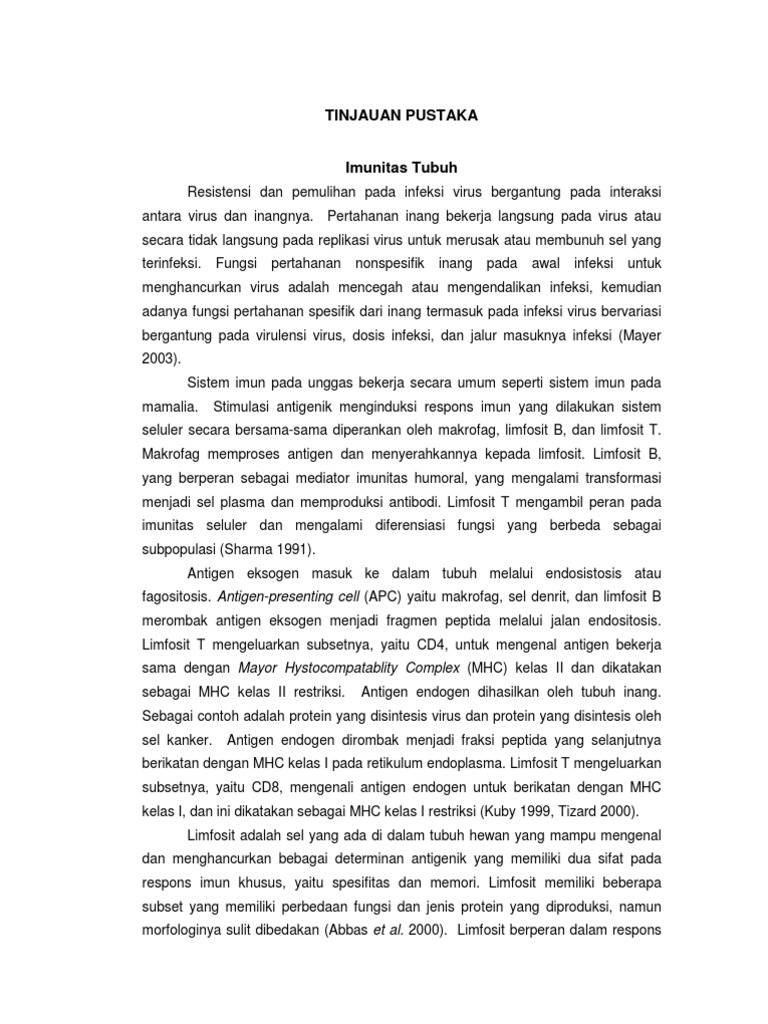 Tinjauan Pustaka