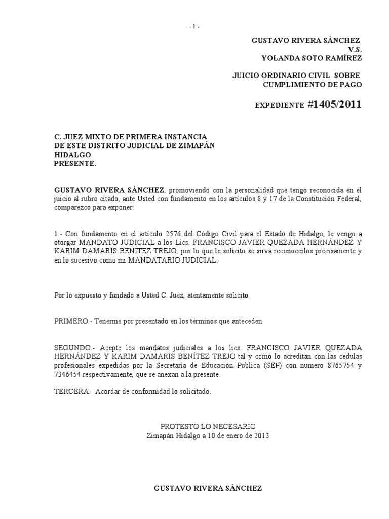 Promocion De Mandato Judicial