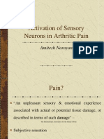 Activation of Sensory Neurons in Arthritic Pain