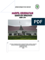 Profil Kesehatan Kab. Simalungun 2008