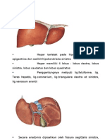 HEPAR ANATOMY