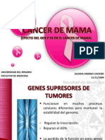 Presentación Efecto del gen P53 sobre el cáncer de mama