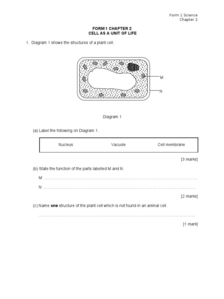 Soalan Science Tingkatan 1 (2)  Diagram  Cell (Biology)  Free 30day