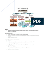 Chapter 5-Cell Division