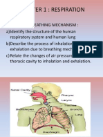 Chapter 1 Respiration