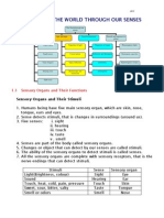 Microsoft Word Chapter 1 the World Through Our Senses Doc