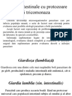 Infecţii Intestinale Cu Protozoare Şi Tricomonaza