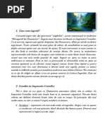 Curs Despre Ingeri - Etapa 1 PDF