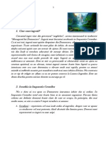 Curs Despre Ingeri - Etapa 1 PDF