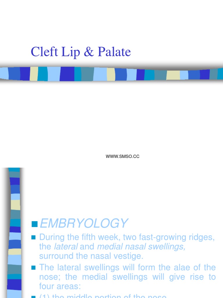 Cleft Lip and Palate | PDF | Human Nose | Clinical Medicine